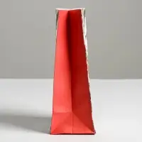 Пакет без ручек &laquo;С Новым Годом!&raquo;, 10 х 19.3 х 7 см