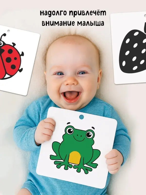 Набор картонных книжек-гармошек "Смотрим вместе", 6 шт.