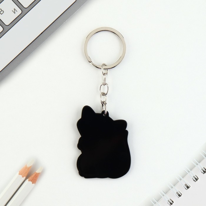 Брелок для ключей акриловый &laquo;Енот&raquo;, 3,5 х 10 см