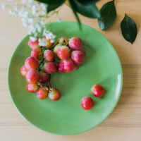 Тарелка керамическая обеденная Доляна &laquo;Пастель&raquo;, d=27 см, цвет зелёный