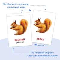 Книги набор «Карточки Домана на английском языке», 8 шт. по 24 стр. Книги набор «Карточки Домана на английском языке», 8 шт. по 24 стр.