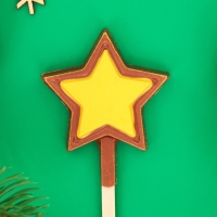 Новый год. Шоколад фигурный на палочке &laquo;Волшебная палочка&raquo;, 20 г