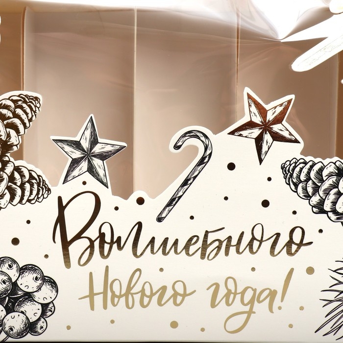 Коробка для эклеров с вкладышами &laquo;Волшебного Нового года!&raquo;, 25.2 х 15 х 7 см, Новый год