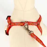 Комплект "Звёздные косточки", поводок 120 х 1 см, ОГ 23-35 см, красный