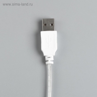 Гирлянда &laquo;Нить&raquo; 3 м с насадками &laquo;Шарики&raquo;, IP20, прозрачная нить, 20 LED, свечение мульти (RG/RB), мигание, USB