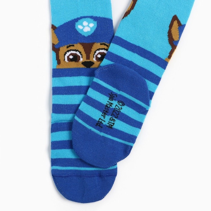 Колготки PAW PATROL «Гончик», цвет голубой, синий, 98-104 см Колготки PAW PATROL «Гончик», цвет голубой, синий, 98-104 см
