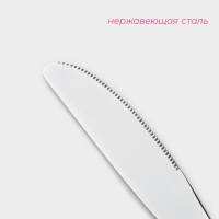 Набор ножей десертных из нержавеющей стали Доляна, h=20,5 см, 3 шт, цвет серебряный