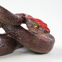 Резиновая змея «Удав» Резиновая змея «Удав»