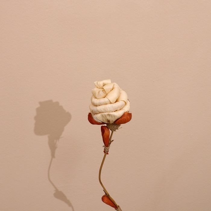 Сухоцвет на бамбуковом стебле 150 см белый Сухоцвет на бамбуковом стебле 150 см белый