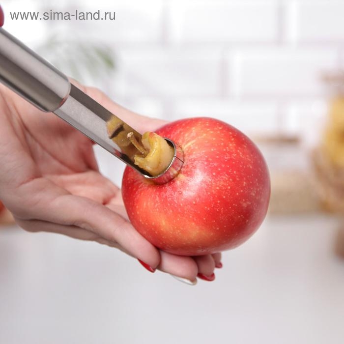 Нож для сердцевины Доляна &laquo;Металлик&raquo;, 21 см, цвет серебристый