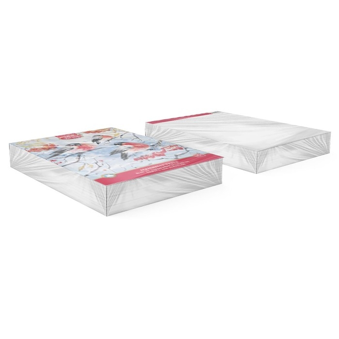 Альбом для акварели А4, 10 листов на клею, Erich Krause ArtBerry "Снегири", блок 180 г/м&sup2;, экстра белая, твёрдая подложка