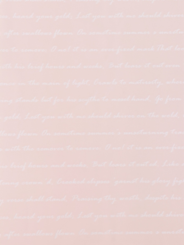 Пленка для цветов &laquo;Послание&raquo;, пудра, 57 см &times; 10