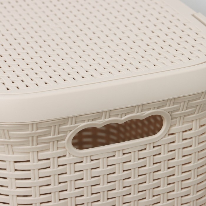 Корзина бельевая с крышкой &laquo;Ротанг&raquo;, 60 л, 34&times;44&times;55 см, цвет латте