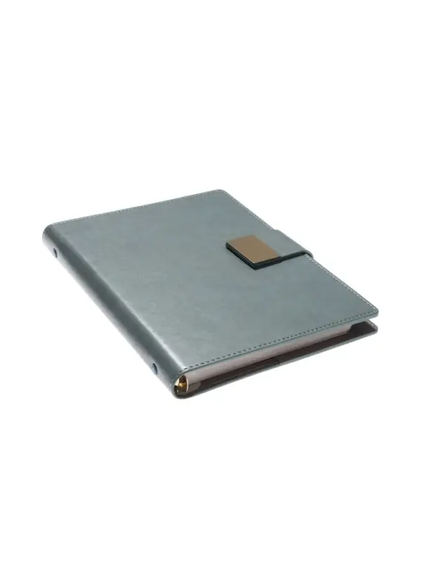 Органайзер на кольцах, А5, с хлястиком, 80л, линия, к/зам, Зеленый