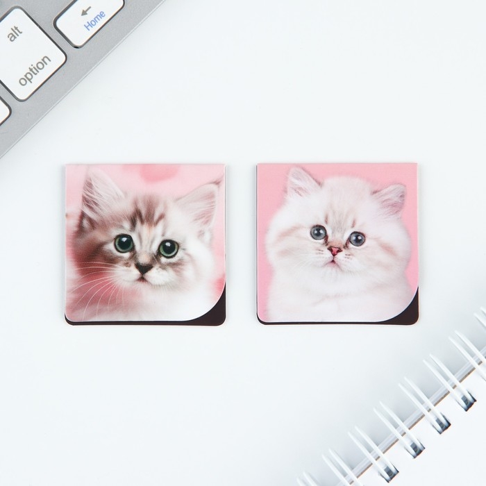 Набор блокнот А6, 32 листа, наклейки, магнитные закладки &laquo;Милый котенок&raquo;