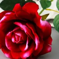 Цветы искусственные "Роза Аманда" бархат, d-11 см 58 см, сиреневый