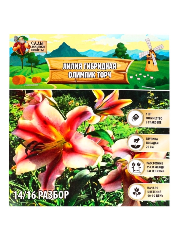 Лилия гибридная &laquo;Олимпик Торч&raquo;, луковица в пакете с перфорацией, р-р 14/16, 2 шт.