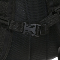 Рюкзак молодёжный Stavia, 46 х 33 х 16 см, эргономичная спинка, "Кант" Рюкзак молодёжный Stavia, 46 х 33 х 16 см, эргономичная спинка, "Кант"