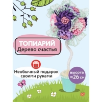 Набор для творчества топиарий &laquo;Воздушный поцелуй&raquo;, 26 см, 10+