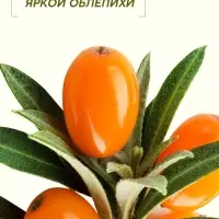 Бальзам для волос облепиха, 400 мл