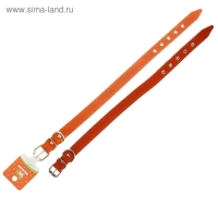 Ошейник кожаный на синтепоне, 45 х 2 см, ОШ 25-35 см, оранжевый Ошейник кожаный на синтепоне, 45 х 2 см, ОШ 25-35 см, оранжевый