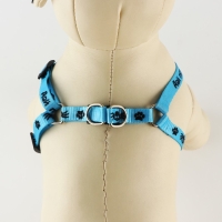 Комплект &laquo;Дай пять&raquo;, шлейка 26-39 см, поводок 120х1 см