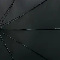 Зонт-трость Lui, черный