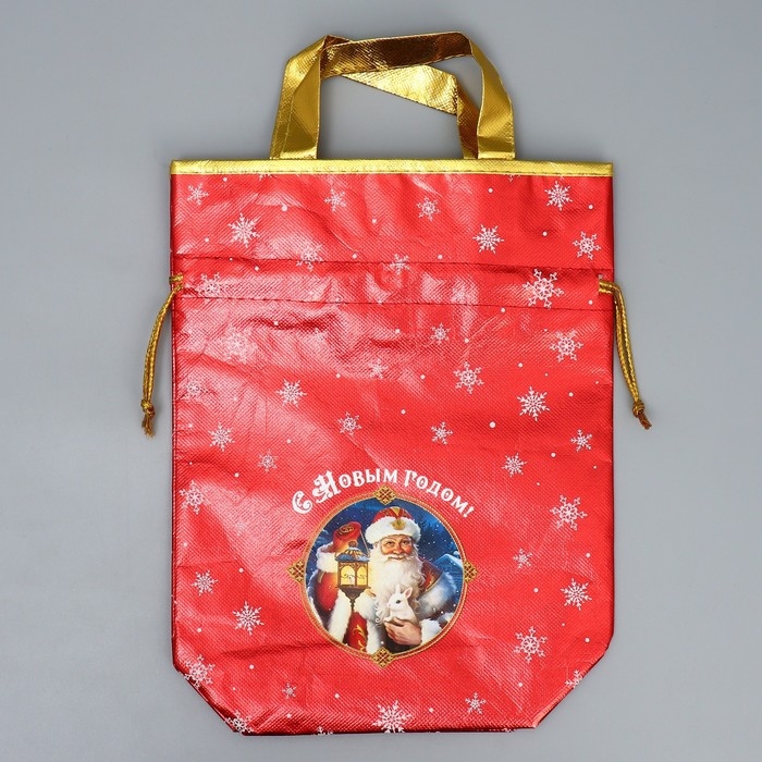 Пакет-мешок из нетканного материала &laquo;Дедушка Мороз&raquo;, 25 х 32 см