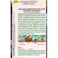 Семена цветов Алиссум Норт фэйс лавендер каскадный  С. Floranova Золотая серия, Ц/П,10 шт.