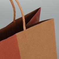 Пакет подарочный крафтовый, упаковка, &laquo;Мечтай&raquo;, ML 23 х 27 х 11.5 см