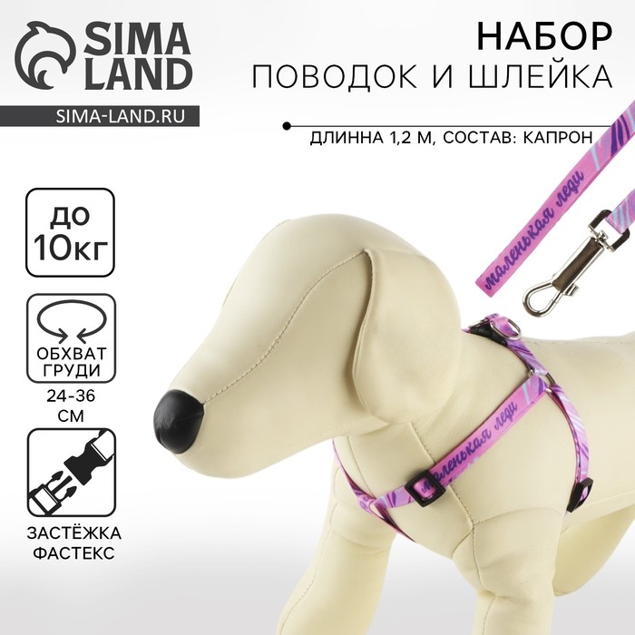 Комплект &laquo;Маленькая леди&raquo;, шлейка 24-36 см, поводок 120х1 см