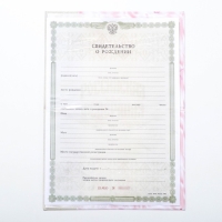 Папка для свидетельства о рождении &laquo;О рождении девочки&raquo;, А5