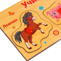 Рамка - вкладыш &laquo;Учим домашних животных&raquo;, 5 элементов