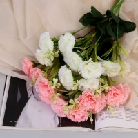 Букет "Гвоздика Айрис" 4х31 см, микс Букет "Гвоздика Айрис" 4х31 см, микс