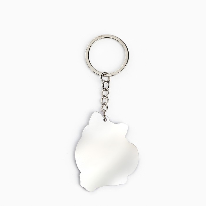 Брелок для ключей зеркало &laquo;Ты выглядишь замурчательно&raquo;, 9 х 4.1 см