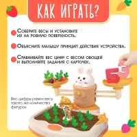 Развивающий набор &laquo;Умные весы. Зайкин огород&raquo;