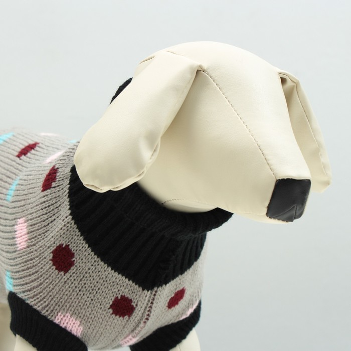 Свитер, размер 16 (ДС 45-60, ОШ 20-37, ОГ 37-52 см), микс расцветок Свитер, размер 16 (ДС 45-60, ОШ 20-37, ОГ 37-52 см), микс расцветок