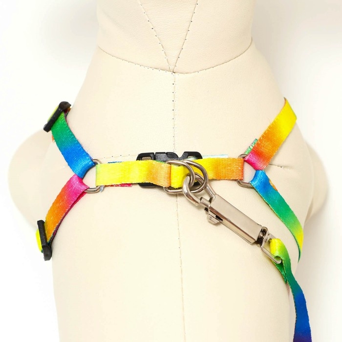 Комплект Комплект "Радуга", капрон, поводок 120 х 1 см, ОГ 24-34 см, разноцветный