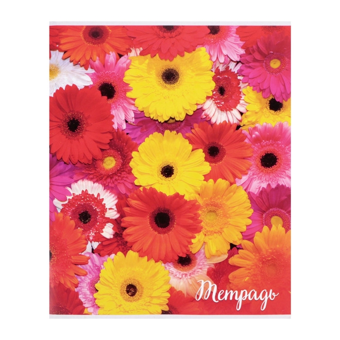 Комплект тетрадей из 4 штук, 96 листов в клетку Calligrata "Цветы-1", обложка мелованный картон, блок №2, белизна 75% (серые листы)