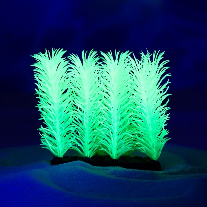 Растение искусственное аквариумное, светящееся, 5 см, зелёное Растение искусственное аквариумное, светящееся, 5 см, зелёное