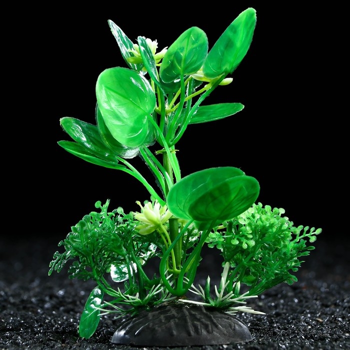 Растение искусственное аквариумное, 10 см, зелёное Растение искусственное аквариумное, 10 см, зелёное