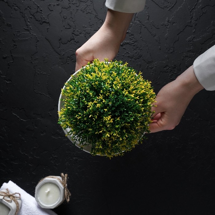 Горшок с подставкой «Алиса», 0,7 л, цвет белый Горшок с подставкой «Алиса», 0,7 л, цвет белый