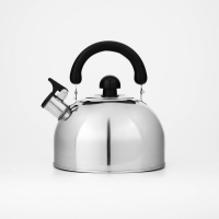 Чайник со свистком из нержавеющей стали Доляна &laquo;Чёрная ночь&raquo;, 3 л, фиксированная ручка, цвет хромированный