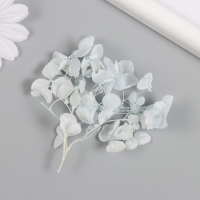 Сухоцвет "Гортензия" нежно-голубой h=6-6,5 см Сухоцвет "Гортензия" нежно-голубой h=6-6,5 см