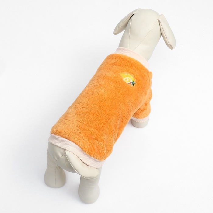 Свитер Свитер "Мандарин", велюр, размер L (ДС 35, ОШ 30, ОГ 45 см), оранжевый