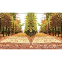 Тетрадь 96 листов в клетку Calligrata "Прекрасная пора", обложка мелованный картон, блок офсет, МИКС