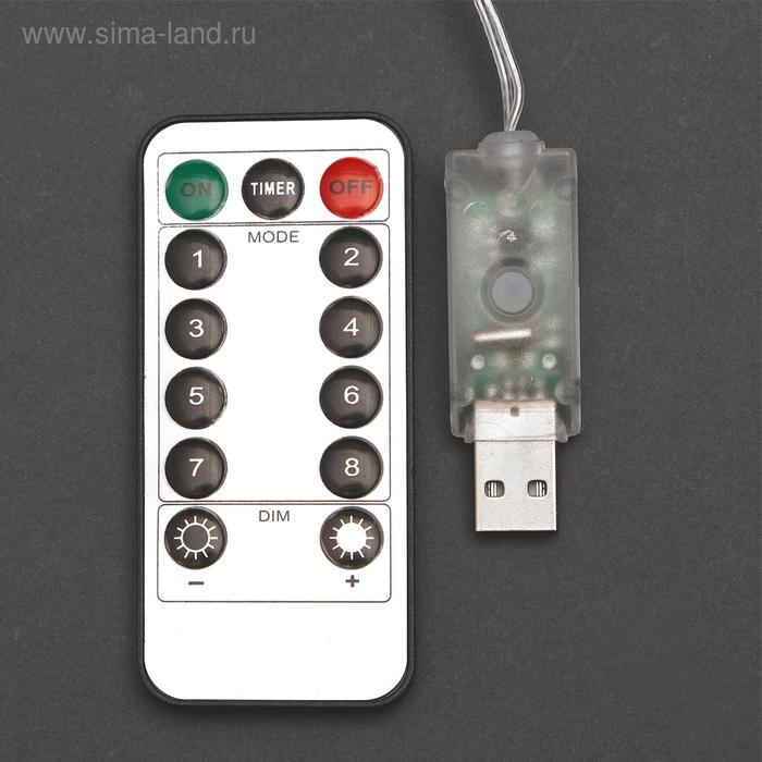 Гирлянда &laquo;Занавес&raquo; 2.8 &times; 3 м роса на крючках, с пультом, IP20, серебристая нить, 300 LED, свечение мульти, 8 режимов, USB