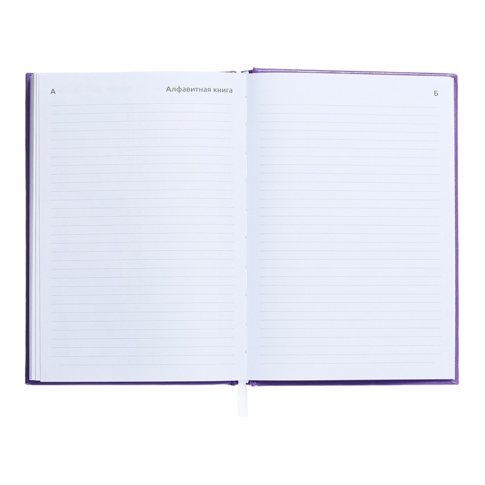 Ежедневник датированный 2024 года, А5, 176 листов, Attomex.Even, обложка бумвинил, ляссе, блок 70 г/м2, сиреневый