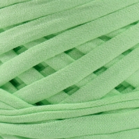 Трикотажная пряжа, ширина 7-9 мм, 100м/295 гр&plusmn;10% (21 - фисташка)