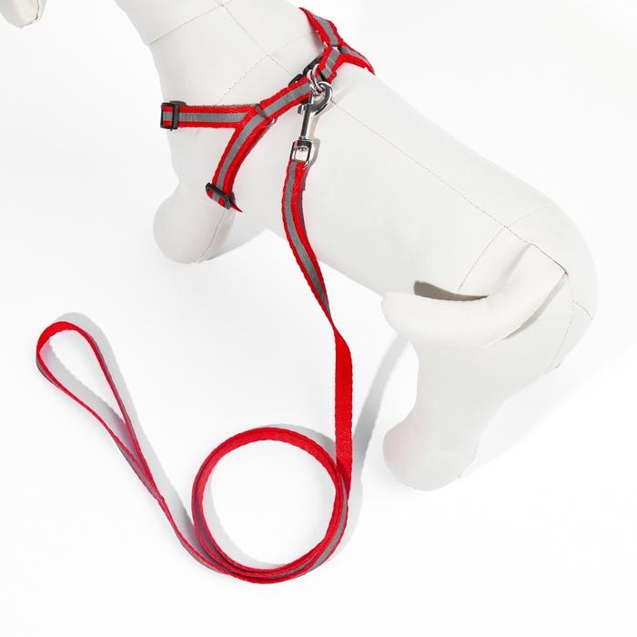 Комплект со светоотражающей лентой, ошейник 120 х 1 см, ОГ 26-40 см, красный